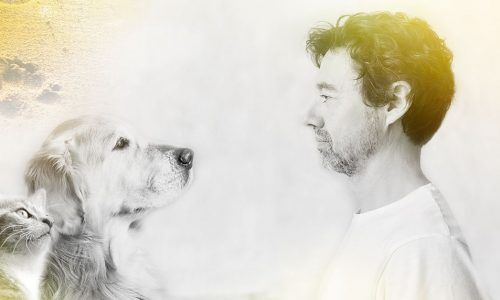 Profundiza en el vínculo consciente con tu compañero animal